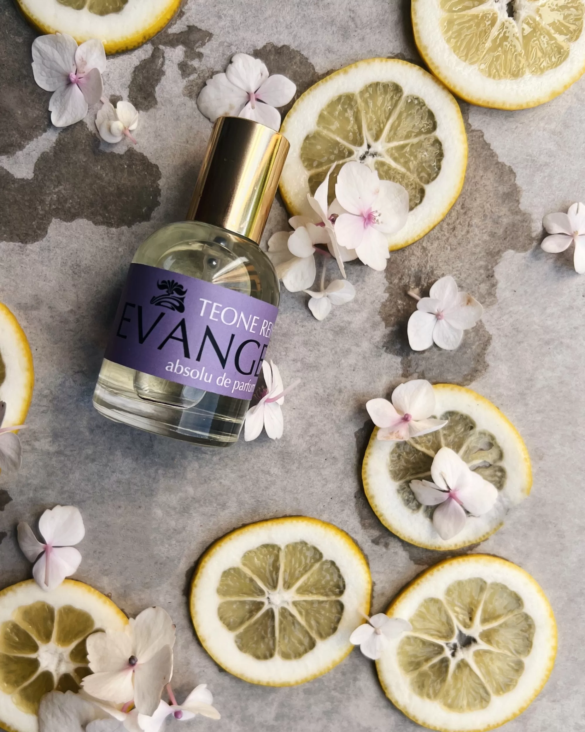 Teone Reinthal Parfum : Evangaline Clearance