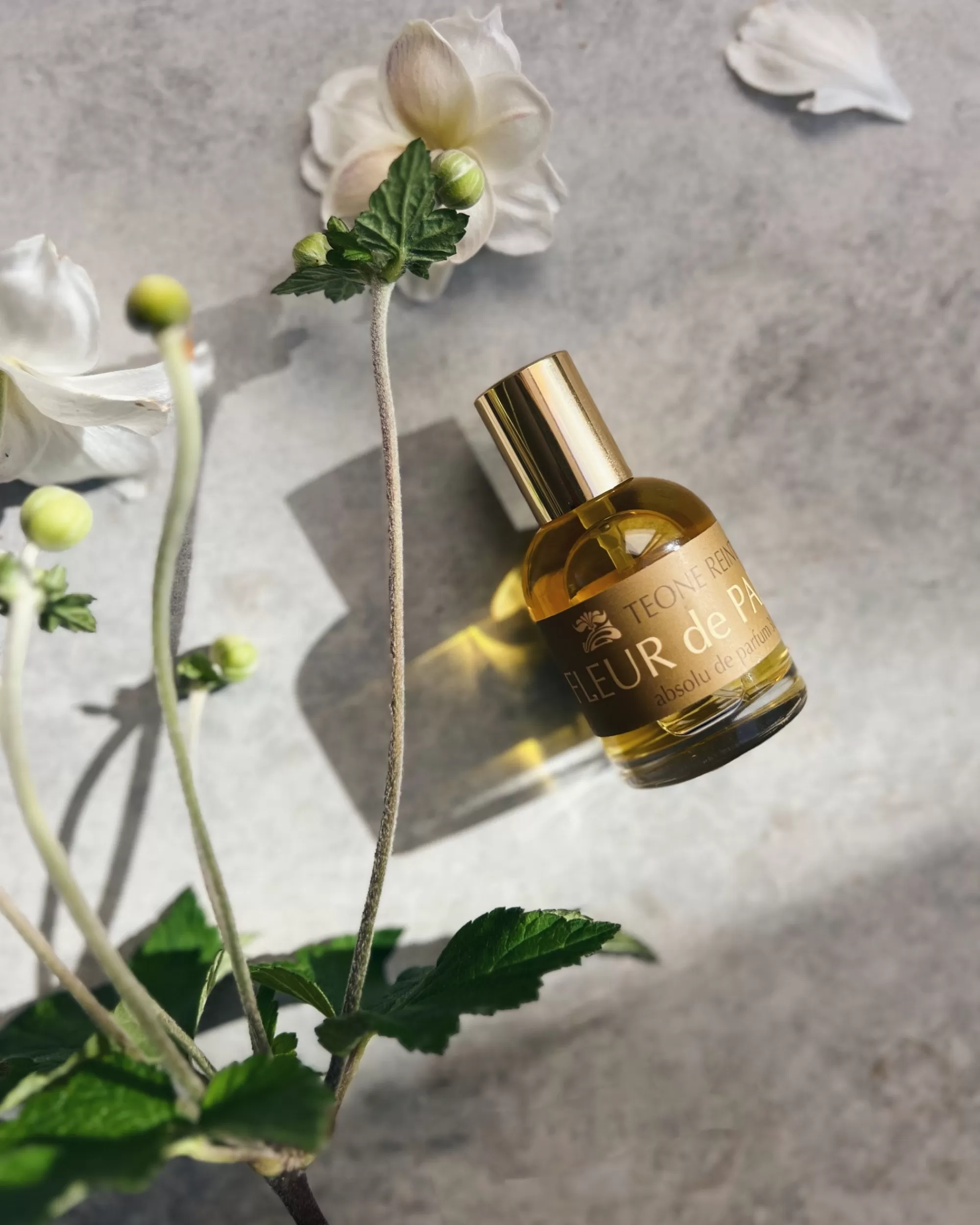 Teone Reinthal Parfum : Fleur De Paradis Online